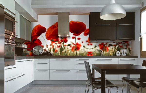 Wall mural with the image of poppies for the kitchen