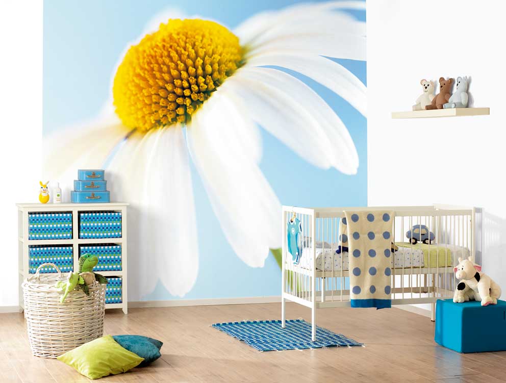 Large kids room with vibrant photo murals