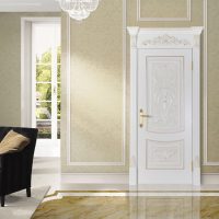 bright design doors with a touch of dark photo