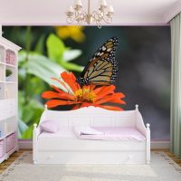 beautiful butterflies in the interior of the hallway picture
