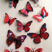 beautiful butterflies in the design of the corridor picture