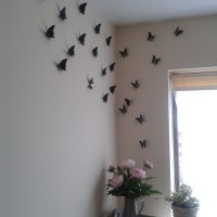 unusual butterflies in the style of the kitchen photo