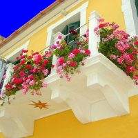 bright flowers in the interior of the balcony on the lintels design photo