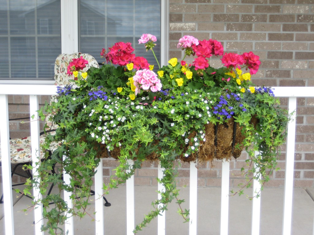 chic flowers on a balcony on whatnots example