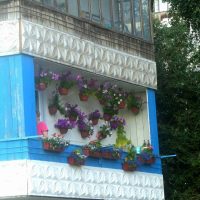 beautiful flowers on the balcony at the jumpers example picture