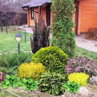 beautiful undersized conifers in the landscape design of a summer cottage photo