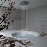 bright design of a bathroom with a shower in dark colors picture