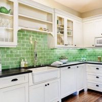 light apron from large format tiles with a pattern in the interior of the kitchen photo