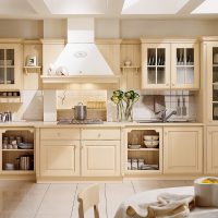 bright design of beige cuisine in the style of shabby chic photo