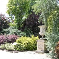 bel aménagement paysager de la cour à l'anglaise avec photo d'arbres