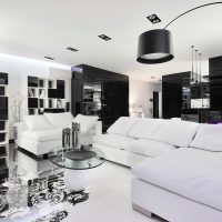chic style living room in black and white color picture