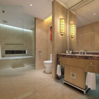 unusual decor of a bathroom with a light-colored shower