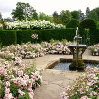 unusual landscape decor of the garden in the English style with trees picture