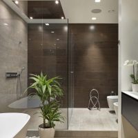 unusual decor of a bathroom with a light-colored shower photo