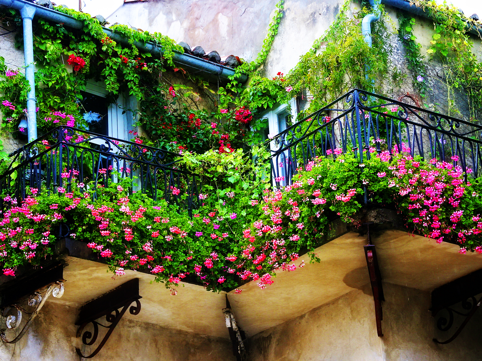 chic flowers on a balcony on whatnots interior