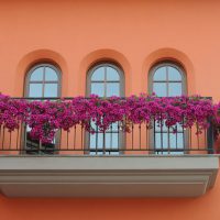 chic flowers on the balcony on the shelves design photo