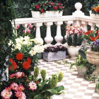 beautiful flowers on the balcony on the lintels design picture