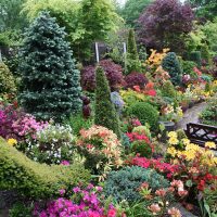 chic landscaping of the garden in the English style with trees photo