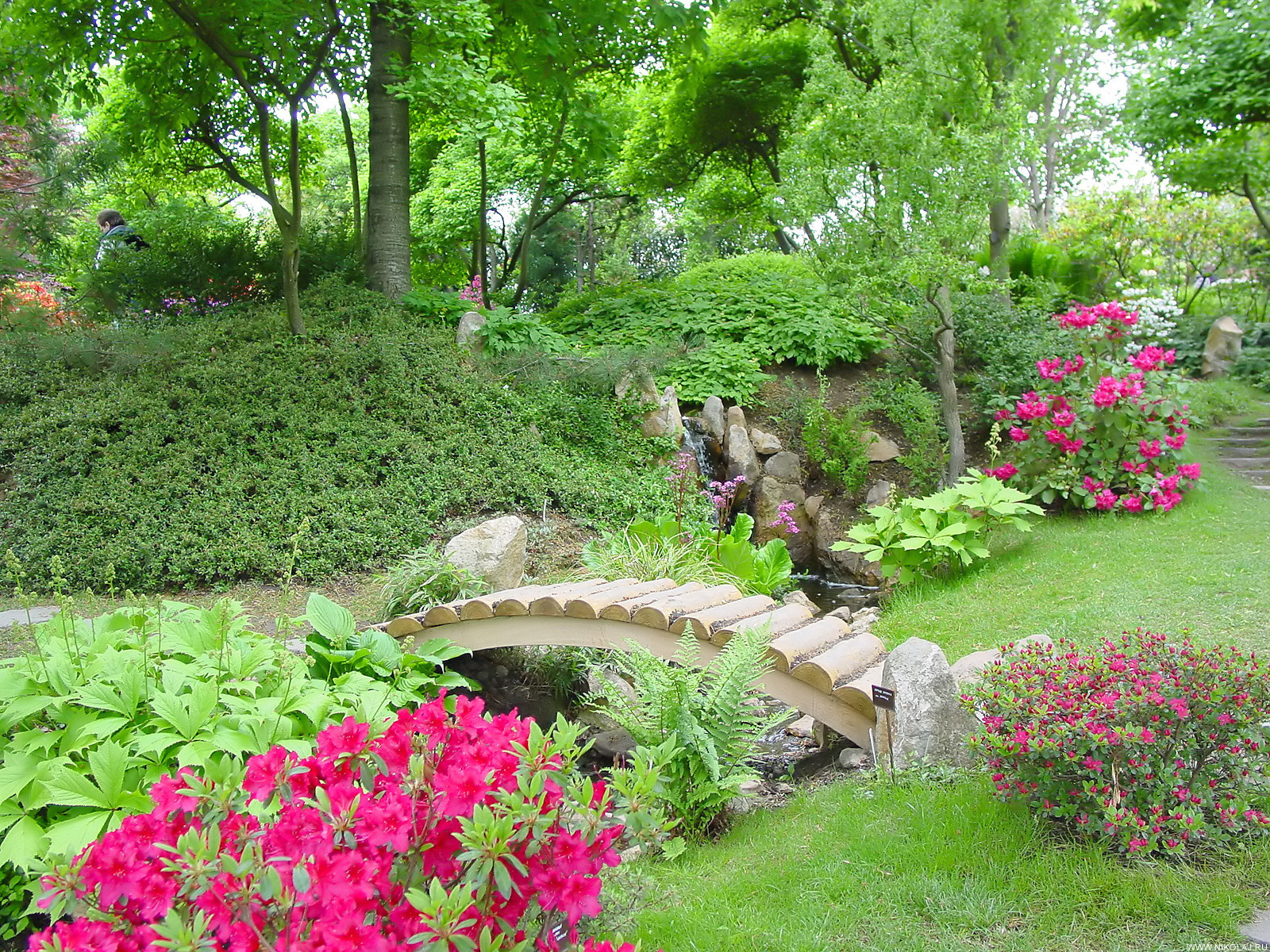 beautiful landscaping of the garden in the English style with flowers