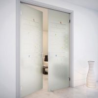bright style doors with a touch of dark photo