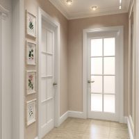 light style doors with a touch of dark photo