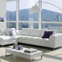 white sofa in the design of the apartment picture