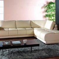 beautiful corner sofa in the living room interior picture