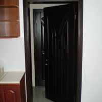 dark doors in oak home decor picture