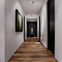 portes sombres à l'intérieur d'un appartement en noyer photo