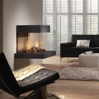 corner electric fireplace in the hall picture