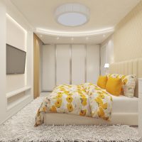 small closet in the design of the corridor picture