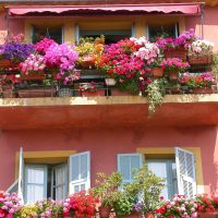 chic flowers on the balcony on the jumpers example picture