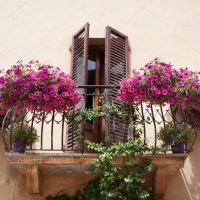 bright flowers on the balcony on the shelves design photo