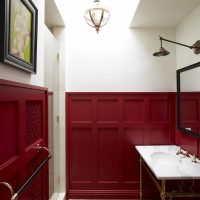bright color marsala in the style of the bathroom photo