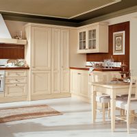 beautiful design of beige kitchen in classic photo style