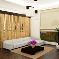 soffitto con bambù all'interno dell'immagine del corridoio