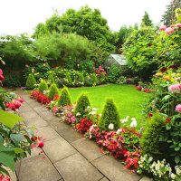 small bright flowers in the landscape design of the cottage picture