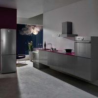a small refrigerator in the interior of the kitchen in steel color picture