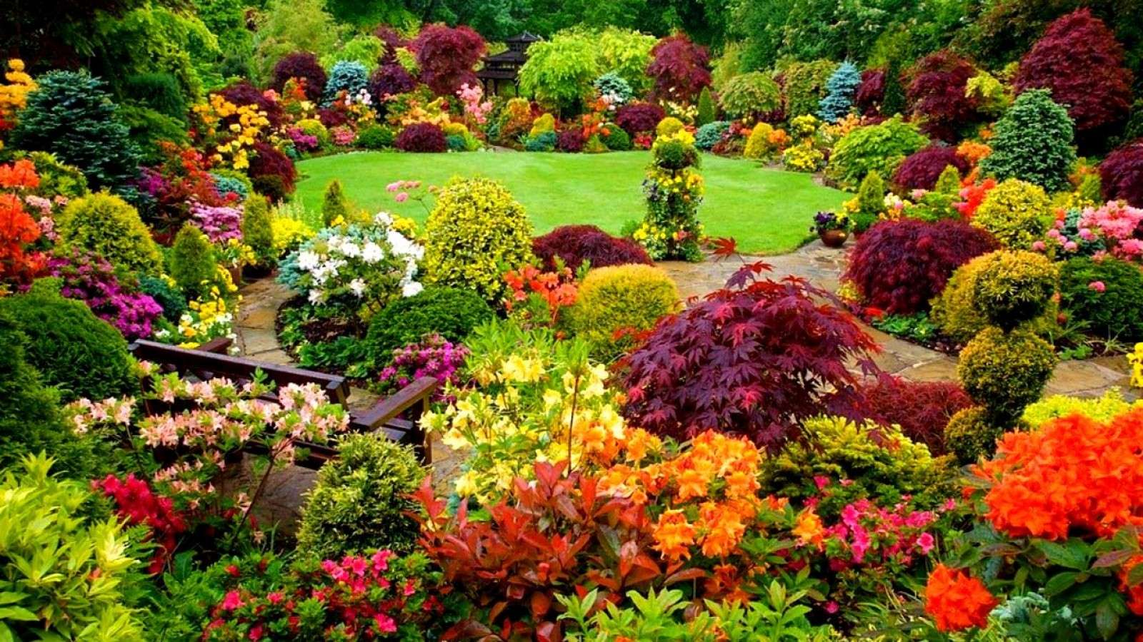 big beautiful flowers in the landscape design of the cottage