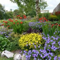small bright flowers in the landscape design cottages picture