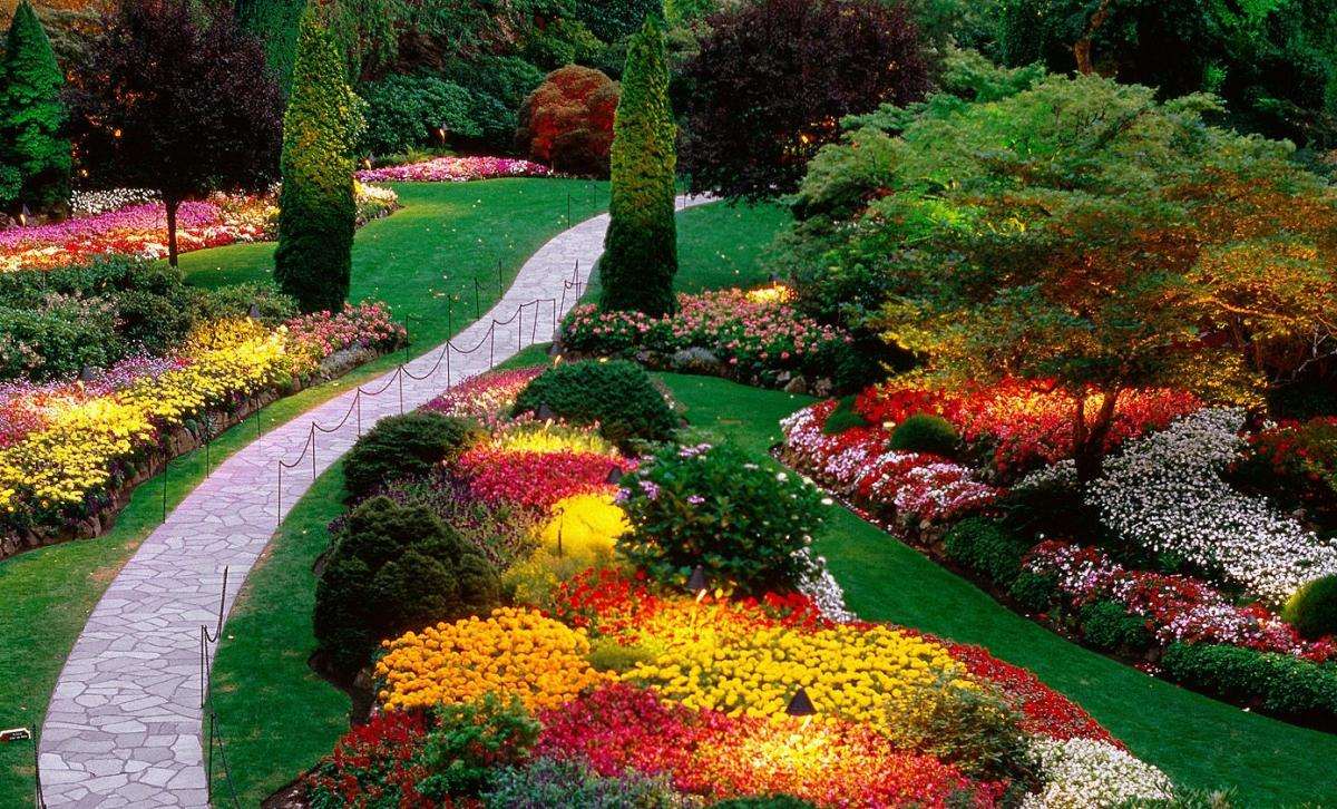 large bright flowers in the landscape design of the cottage