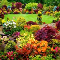 large unusual flowers in landscaping rosary photo