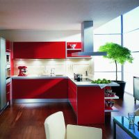 combination of red with other colors in the decor of the apartment picture