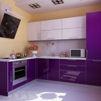 unusual style of the kitchen in a purple tint picture