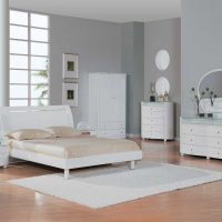 mobilier blanc lumineux dans la conception de la salle de séjour