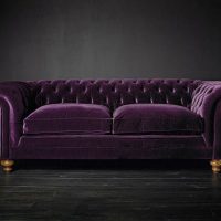 dark purple sofa in the interior of the corridor picture