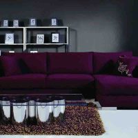 light purple sofa in the facade of the house photo