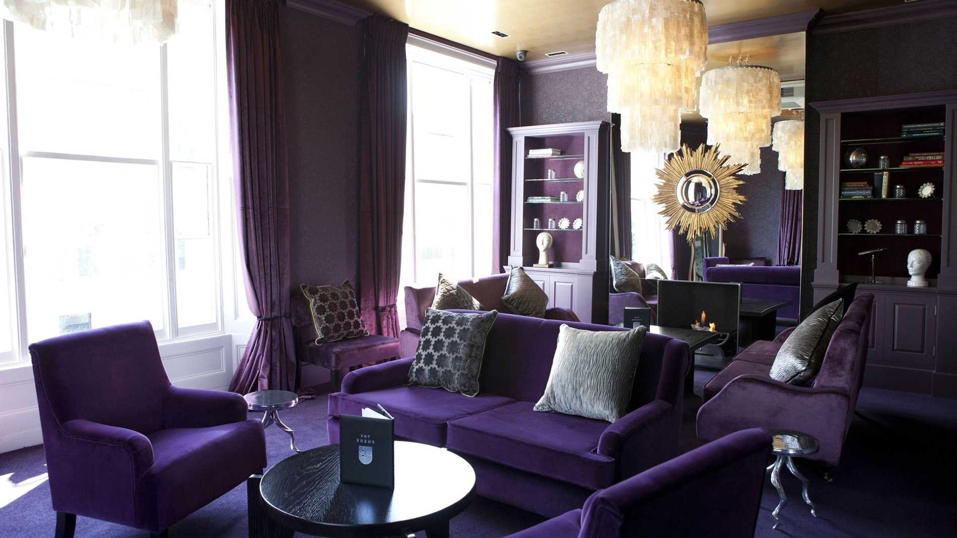 dark purple sofa in the design of the living room