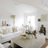 mobili bianchi luminosi nel design della foto dell'appartamento