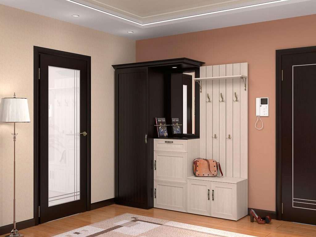 unusual apartment style in wenge color